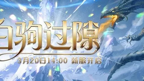 中国女排新任主教练招聘正式启动